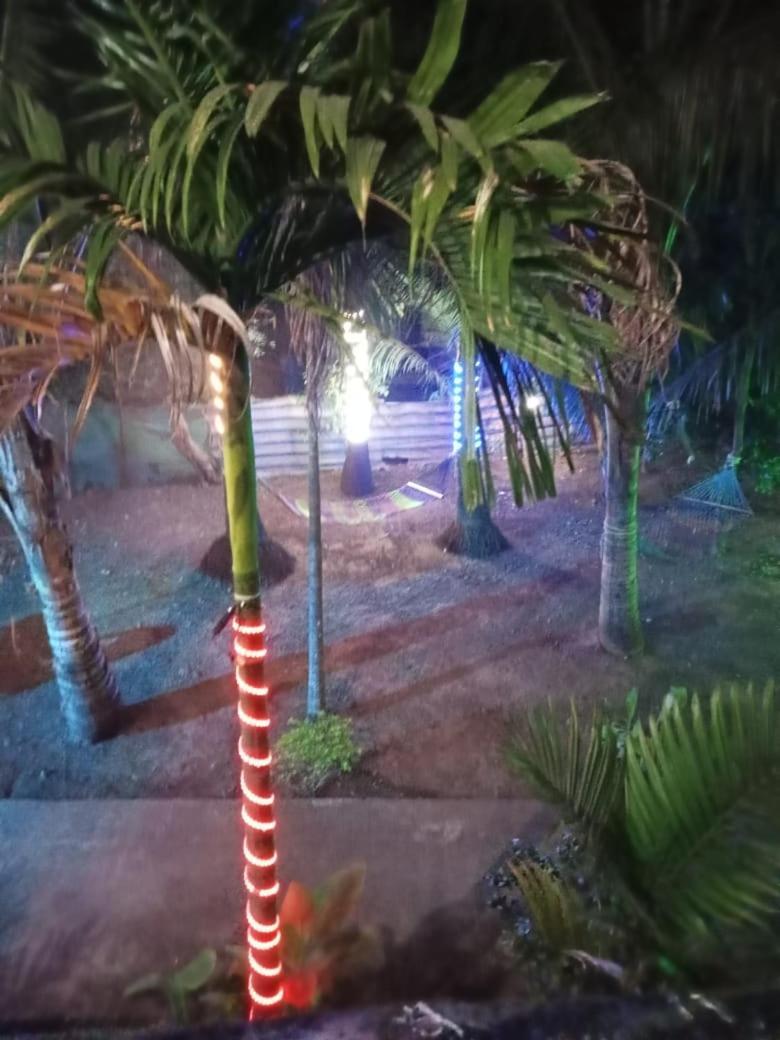 אליבאוג Sai Sneh Holidays Cottage מראה חיצוני תמונה